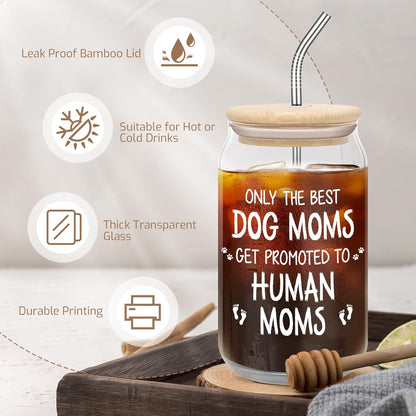 New Dog Mom Promoted To Human Mom Glass Can Tumbler Gift Set